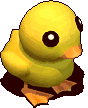 黃色小鴨