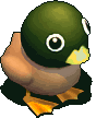 綠頭鴨